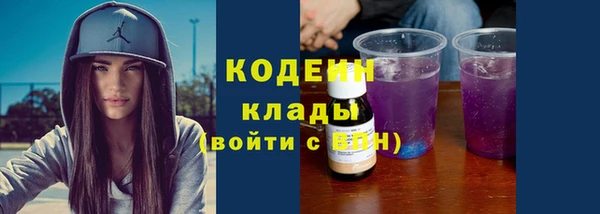 стаф Нея
