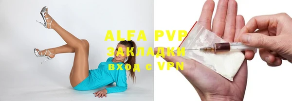 стаф Нея