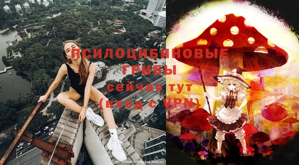 не бодяженный Нефтекумск