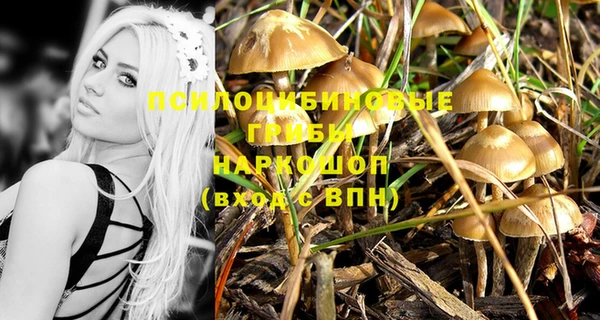 не бодяженный Нефтекумск