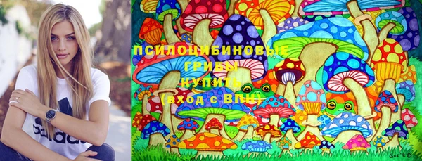 стаф Нея