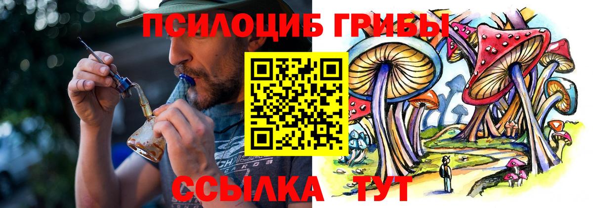 Галлюциногенные грибы мицелий Шумерля